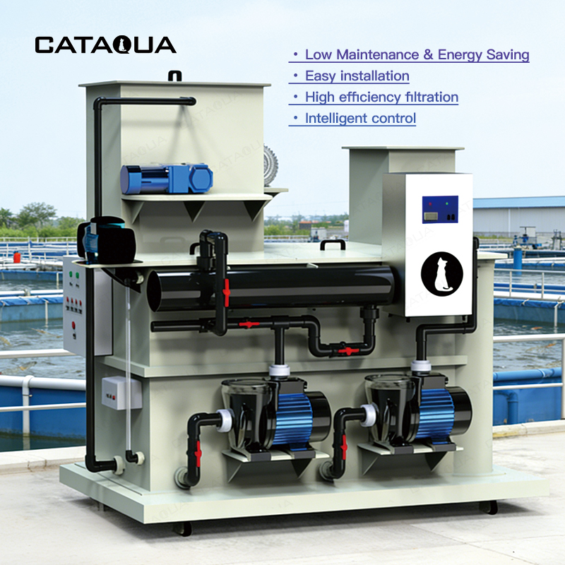 Mini Ras System 8-15m³ Compact Integrated RAS System | Turnkey Solution for Hatcheries ...